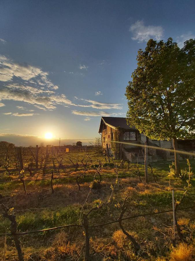 Izletiste Opatovac Guest House Eksteriør bilde
