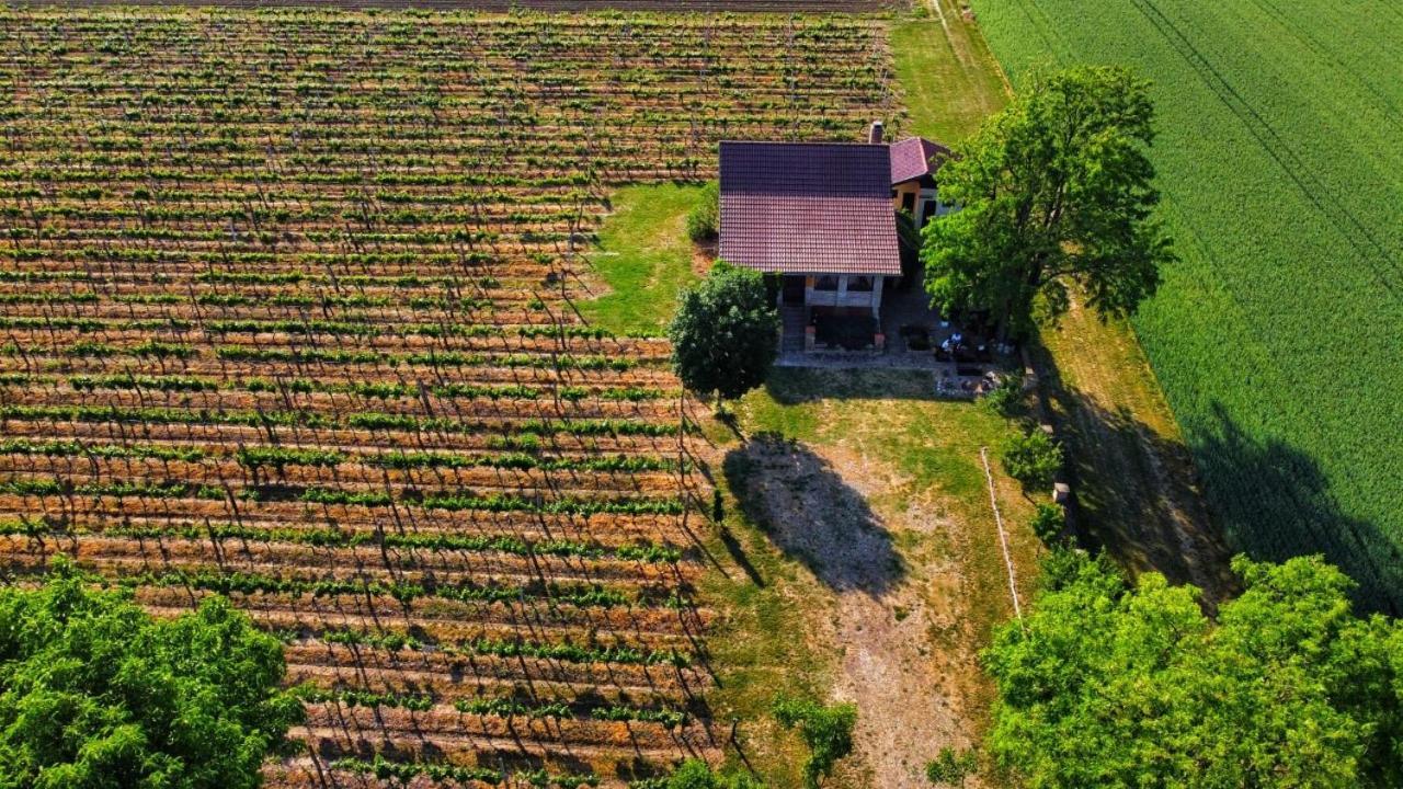 Izletiste Opatovac Guest House Eksteriør bilde